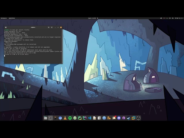 Linux users installing a web browser be like