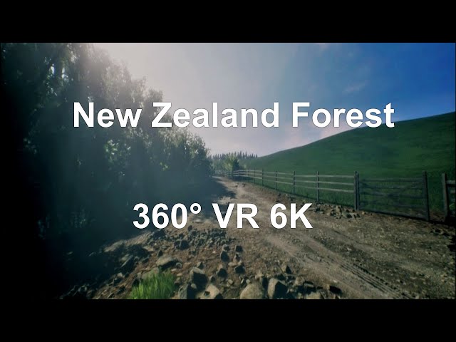 UE4 Realistic Forest