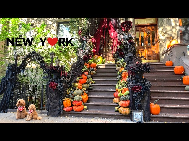 🇺🇸 Don’t You Just Love New York City in the Fall? 🎃👻 | UWS & UES Saturday Walk 4K
