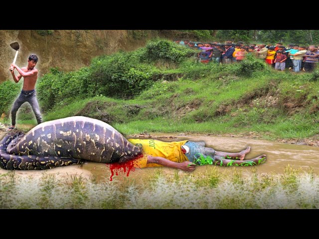 Anaconda Snake Attack Boys In Forrest | An Anaconda Snake Attack Brief Story
