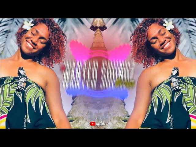 Controller RemiiX [ Wanted Soundz ] 2024