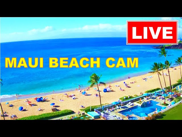 🐳  LIVE 24/7  🌊  4K MAUI LIVE CAM  * WHALE WATCH CAM *  www.WhalerCondo.net