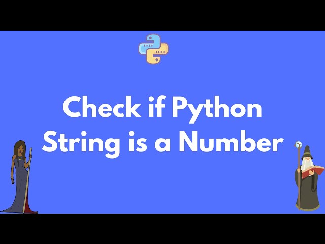 How to check if a Python string is a number - float or int