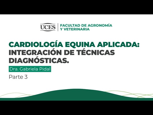UCES | APPLIED EQUINE CARDIOLOGY: Integration of diagnostic techniques (PART III)