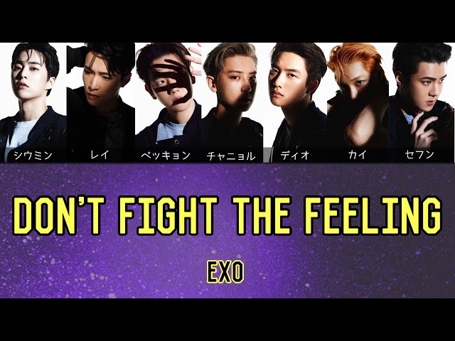 日本語字幕/カナルビ/歌詞【Don't fight the feeling】EXO 엑소 エクソ