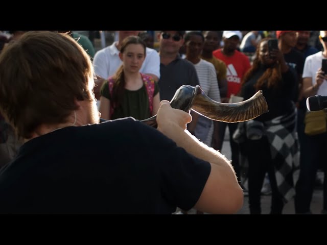 Multi-Instrumental Live Looping | 1 Hour | By Reinhardt Buhr