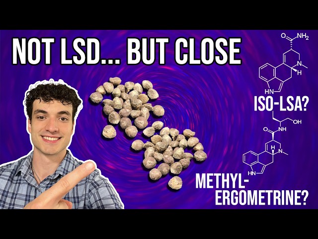 Hawaiian Baby Woodrose Seeds (HBWR): Legal LSD? LSA and LSH are NOT the Only Alkaloids...