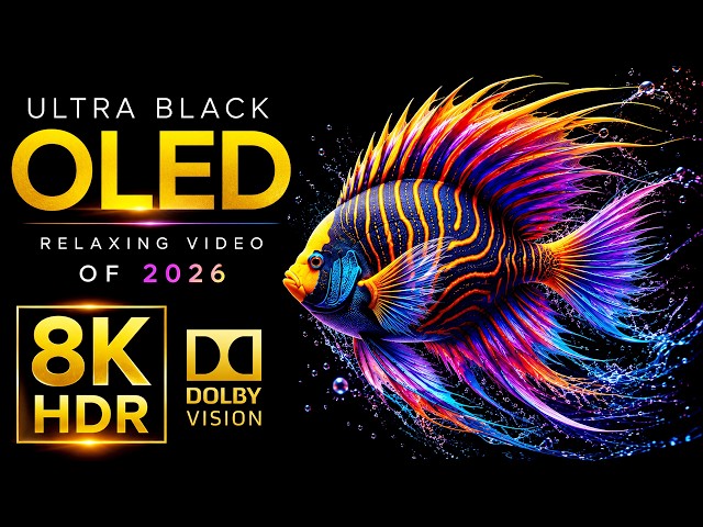 ULTRA Black OLED Showcase | Dolby Vision HDR 240fps (8K Video ULTRA HD TV)