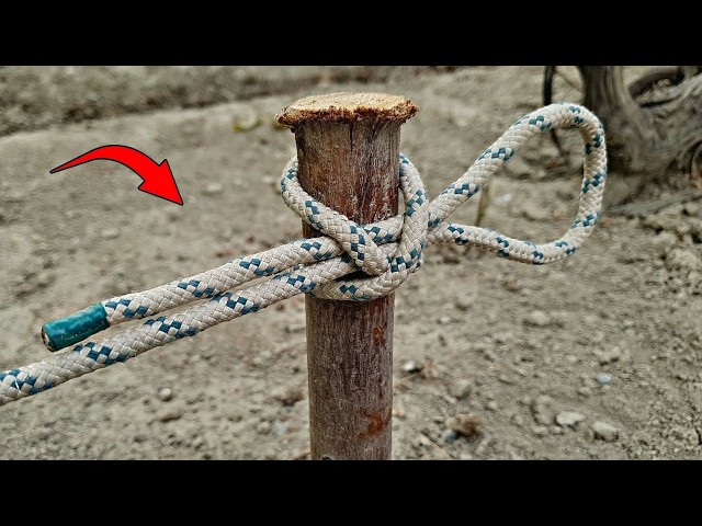 This Simple Knot Beats Complicated Knots Every Time!