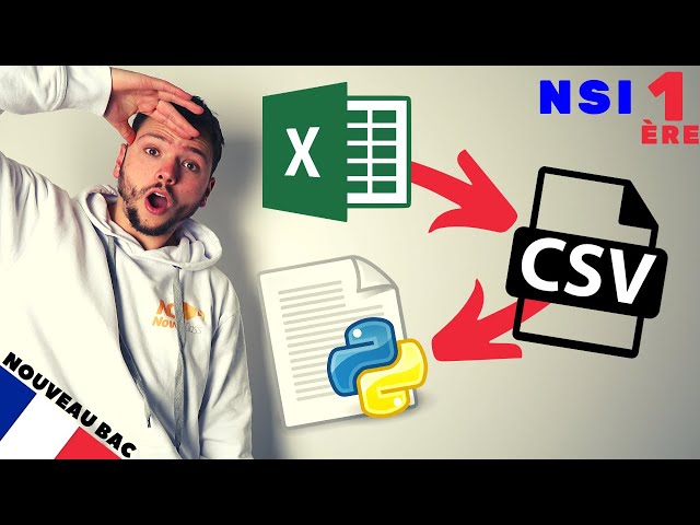 TABLEUR, CSV et DICTIONNAIRE PYTHON - Spé NSI - Première Informatique