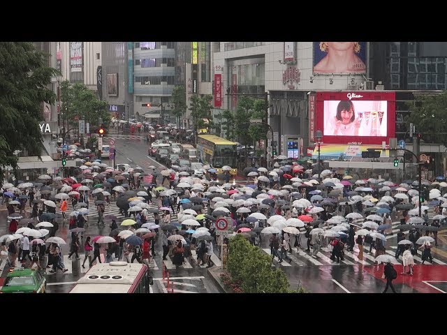 Exploring Tokyo City By Train! | Local Foods, Shopping & Visiting Tokyo's Oldest Temple