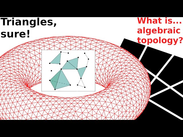 What are...simplicial complexes?