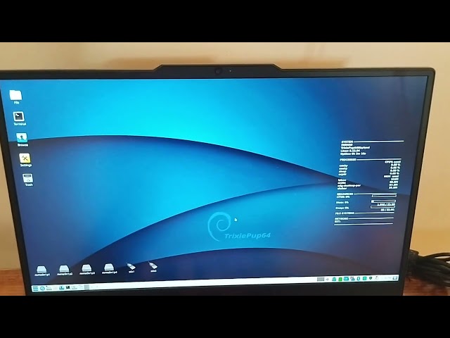 Installed Puppy Linux just to uninstall it immediately }⁠:⁠‑⁠)
