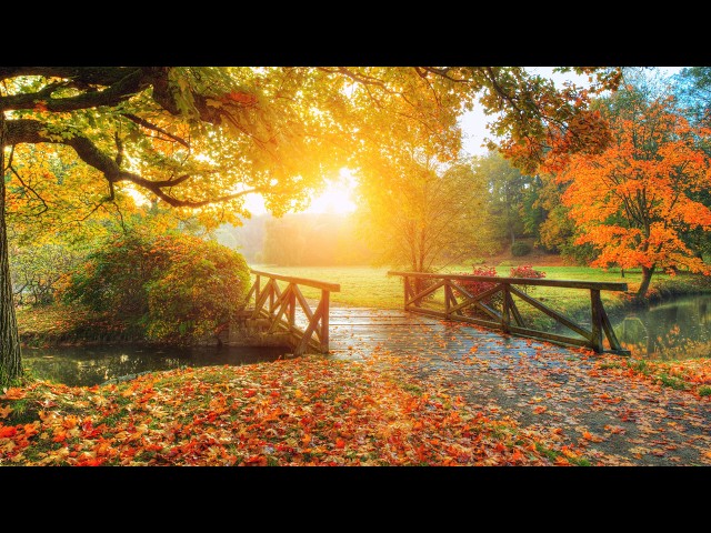 "Red Oak Leaves on the Pond" Beautiful Relaxing Music, Peaceful Instrumental Music by Tim Janis