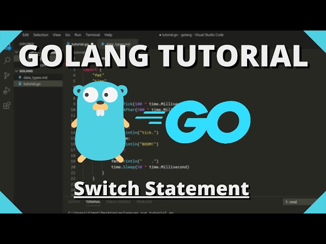 Golang Tutorial #11 - Switch Statement