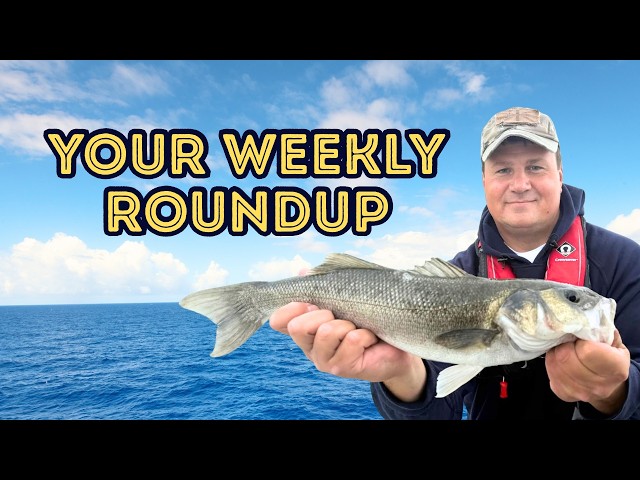 Has The Angling Trust Failed Sea Anglers Over Pollack?