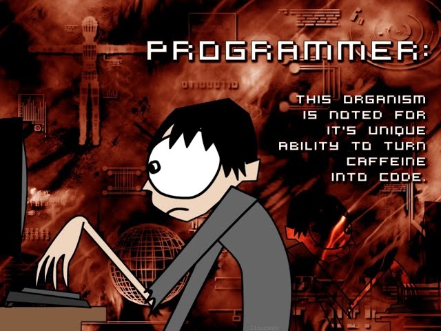 Programmer's Life