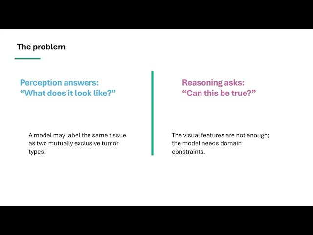 KDD 2026-When Logic MeetsPerception:Operator-AgnosticDifferen. Reasoning forReliableNeuralPrediction