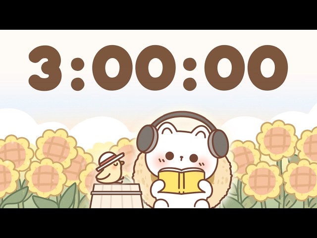 3 Hour Timer 🐱 3 Hr Study Timer for Classroom Focus