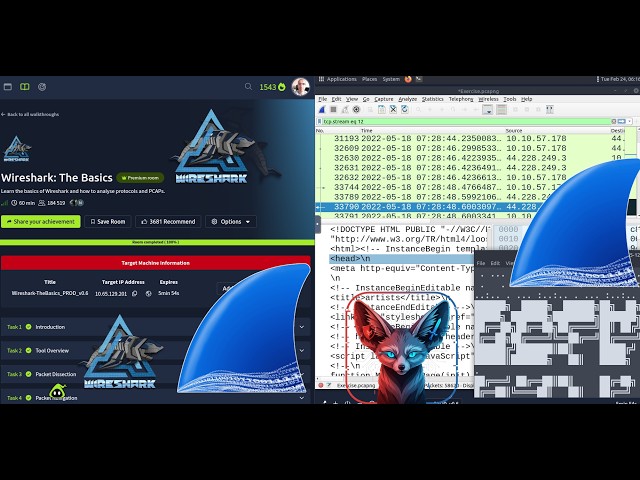 TryHackMe Wireshark: The Basics  | Full Walkthrough 2026