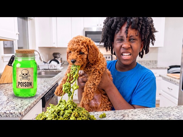 MY DOG WONT STOP THROWING UP