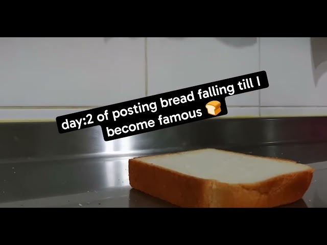 Day:2 of posting bread falling till I become famous 🍞