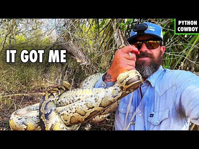 This Python Catch Got Out Of Hand