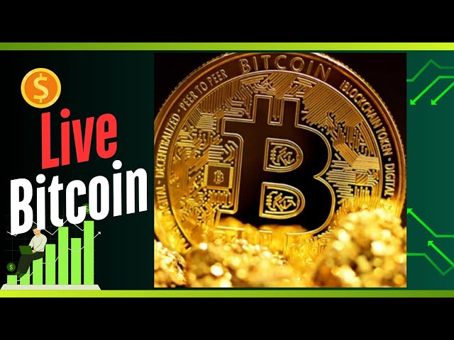 8th  March Live Bitcoin  Trading