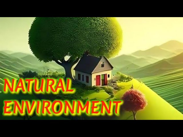 NATURAL ENVIRONMENT  short essay