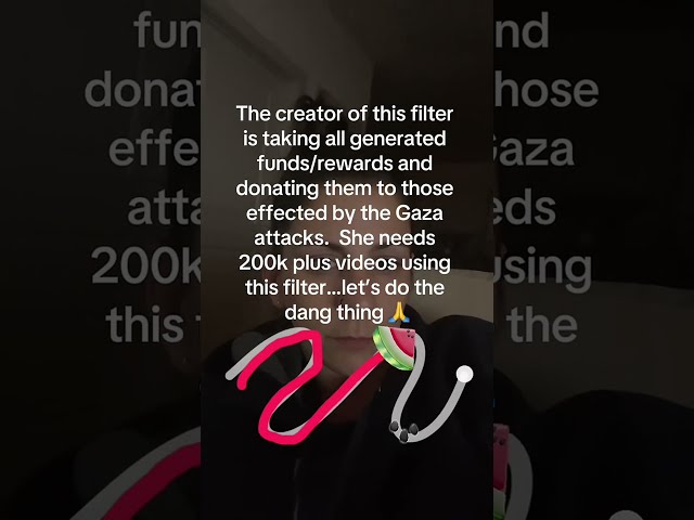 Watermelon Filter for Charity #gaza #effectcreator