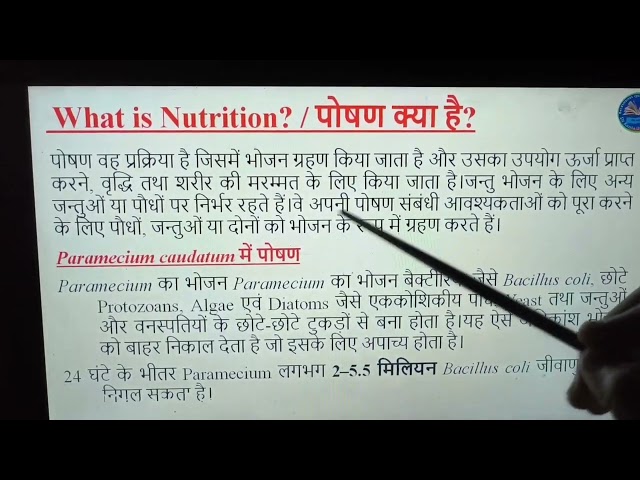 Paramecium में पोषण | Nutrition in Paramecium | B.Sc. M.Sc. Hindi Notes | Zoology