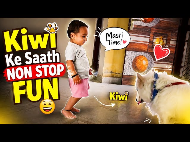Non-stop Fun with Kiwi 😄