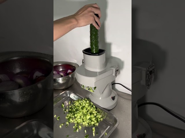 Small Potato/Cucumber/Onion Carrot Slicing Shredder Dicer Automatic Cutter Vegetable Cutting Machine