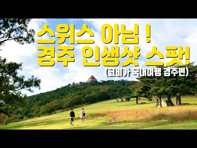 경주 인생샷 스팟! 코비가 추천 경주 핫플레이스 여행지 [국내여행]