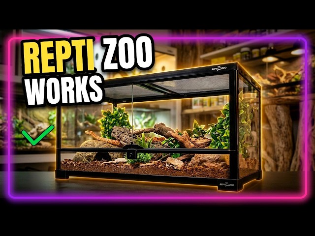 REPTI ZOO 20 Gallon Reptile Glass Terrarium: Dual Sliding Top Actually Works