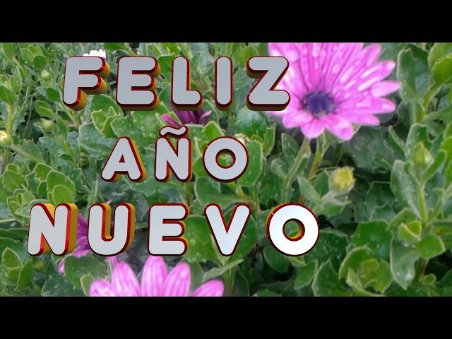 MEJOR Saludo de #AñoNuevo #felizanonovo #happynewyear2025 #felizañonuevo2025 #adios2024  #newyear