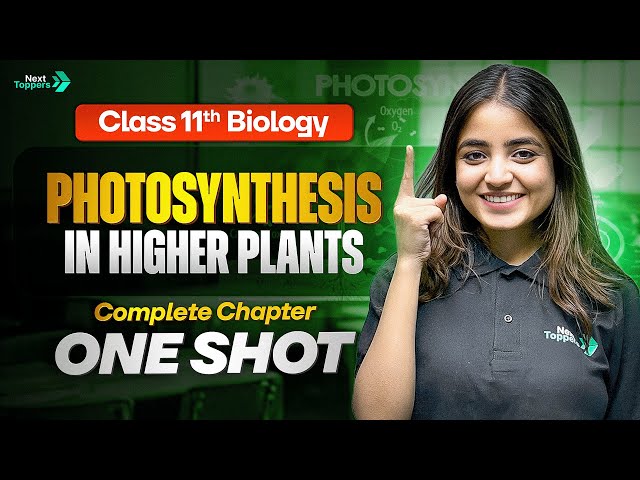 Photosynthesis in Higher Plants Class 11 One Shot | 11th Biology Chapter-11 Revision | CBSE 2026
