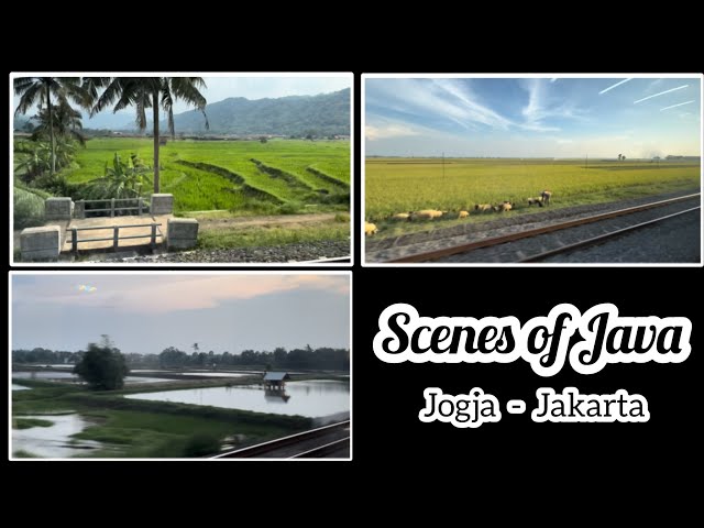 Jadi anak kost jogja PART 3