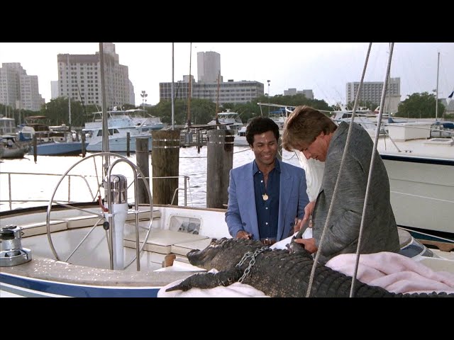 Crockett Gives Elvis A Mini Manicure... | Miami Vice