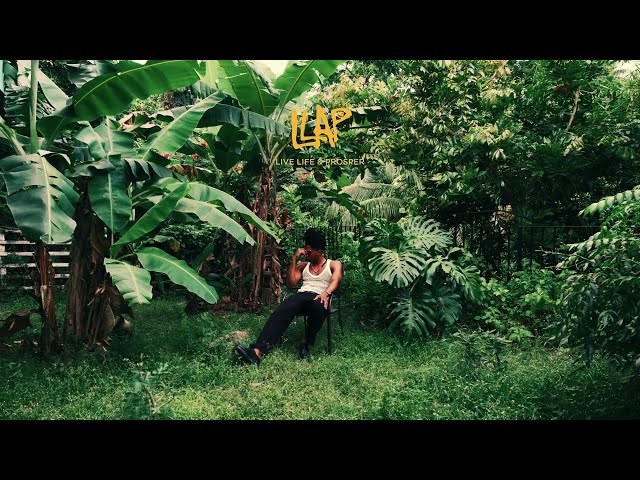 D'Yani- Fi Mi Mama (Visualiser)