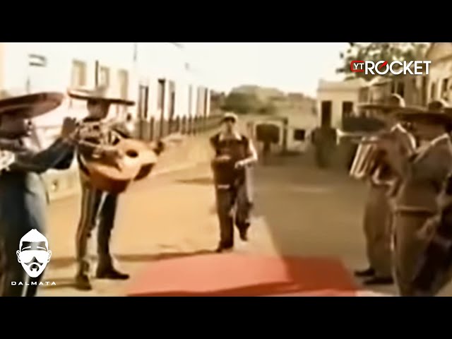 Dalmata - Pasarela | Video Oficial