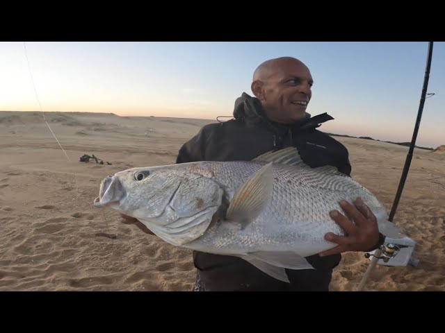 Stockton beach Jewfish & bream 