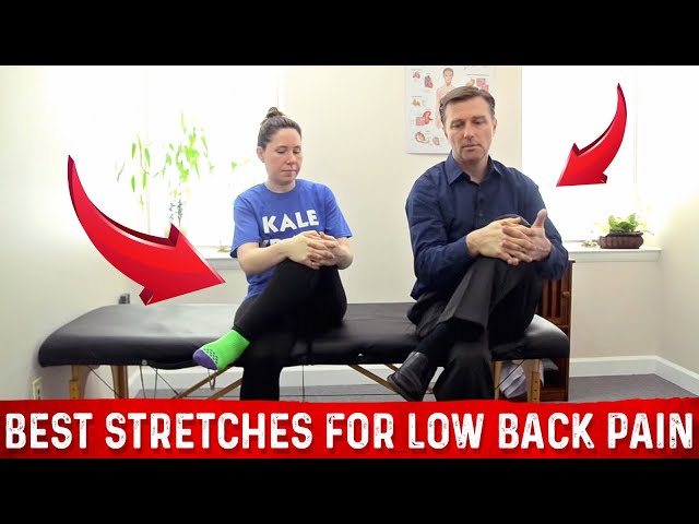Stretches for Low Back Pain – Dr. Berg