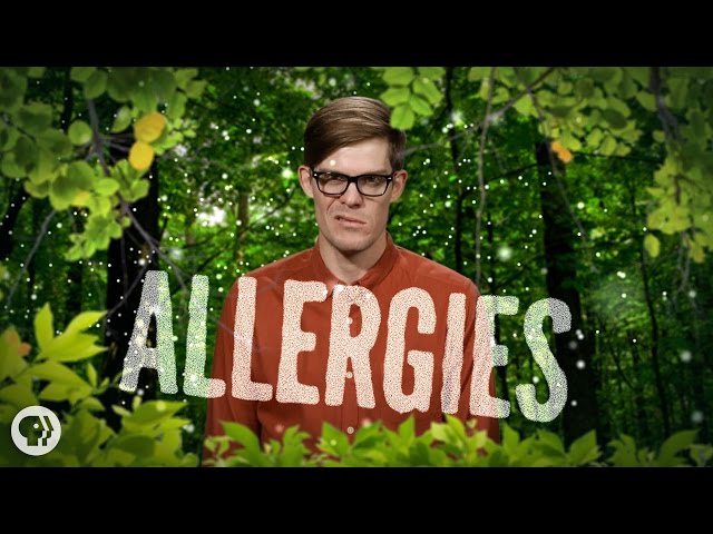 %$?# Allergies!