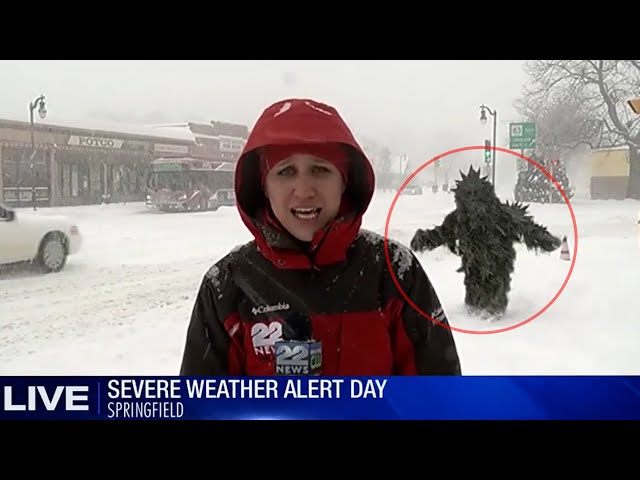 11 Most Disturbing Moments Caught on Live TV Footage