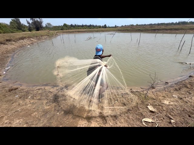 Fishing Net Video - Traditional Cast Net Fishing in River - Best Fishing Net Village River Video 