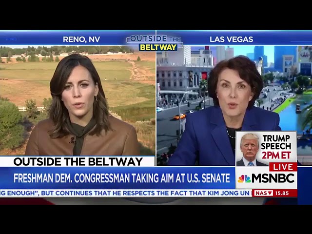 MSNBC to Jacky Rosen - Did Harry Reid Ask You To Run?