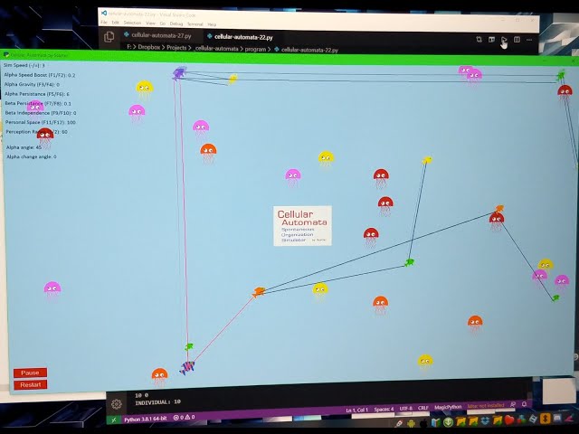 Example cellular automata