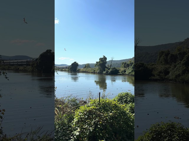 📍 Cold Spring, NY #nature #naturenoise #sleepsounds #naturelovers #travel #train #newyork