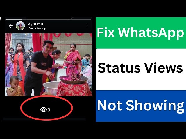 How To Solve WhatsApp Status Views Not Showing Problem | How To Fix WhatsApp Status No Views